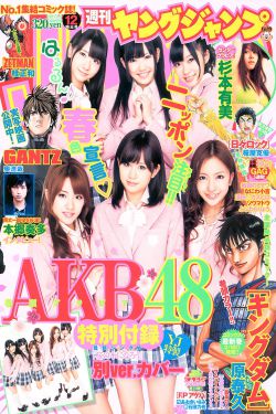 新金梅瓶全集完整版